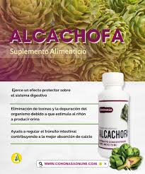 ALCACHOFA  EXT.  75 ML COHONASA