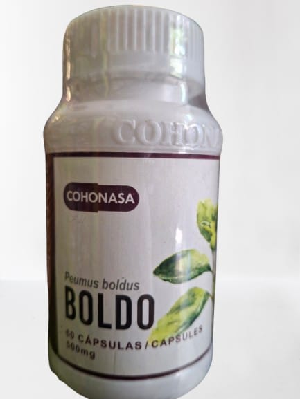BOLDO C/60 CAP  COHONASA