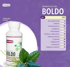 BOLDO EXTRTACTO 75 MLCOHONASA