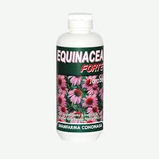 EQUINACEA JARABE 120 ML COHONASA