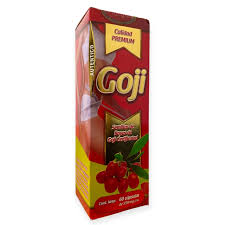GOJI 60 CAP PROVIDA