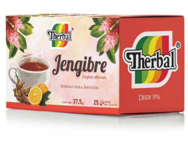 JENGIBRE 25 SOB THERBAL