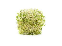 GERMINADOS 120 grs 