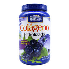 COLAGENO HIDROLIZ. 1100GRS BLUEBERRY YPENZA